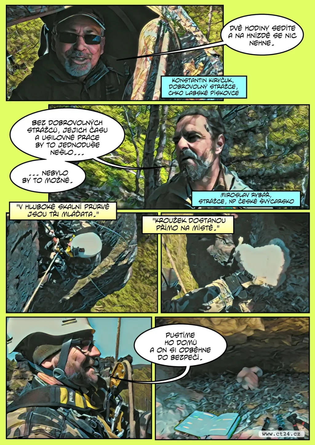 Kroužkování malých sokolů