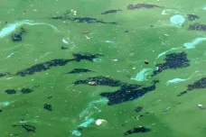Brněnští vědci navrhli ničitele plastových ostrovů. Mají se jím stát sinice