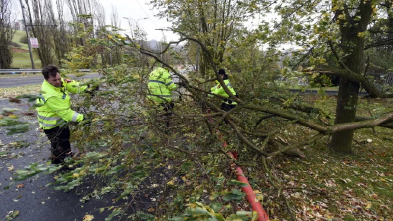 Příslušníci městské policie odklízejí popadané větve v Ústí nad Labem,  Autor: Zavoral Libor,  Zdroj: ČTK