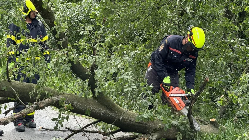 Hasiči Moravskoslezského kraje odklízejí popadané stromy