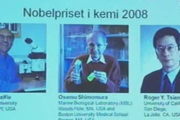Nobelovu cenu za chemii obdrží vědci za výzkum fluorescenčního proteinu
