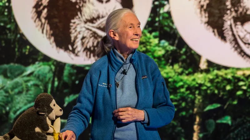 Jane Goodallová při natáčení Hyde Parku Civilizace v roce 20117