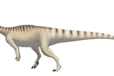 Prvním tvorem, který žil ve stádě, byl americký dinosaurus. Přinášelo mu to zřejmě dlouhověkost