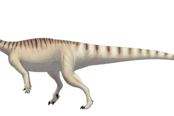 Prvním tvorem, který žil ve stádě, byl americký dinosaurus. Přinášelo mu to zřejmě dlouhověkost