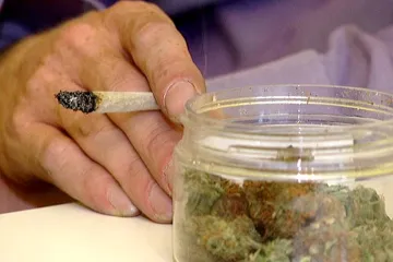 Pardubičtí policisté zabavili marihuanu za dva miliony korun