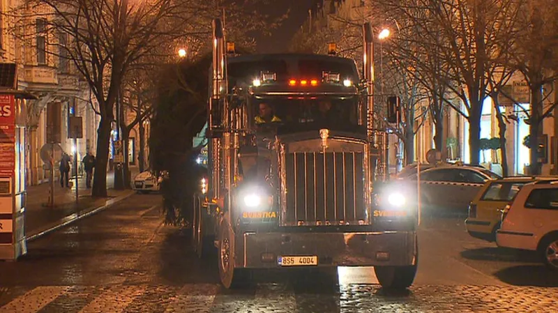 Přeprava vánočního stromu