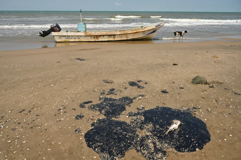 Ryba ulovená rybáři leží v ropné skvrně