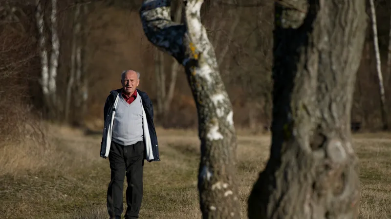 Jan Stráský (2015)