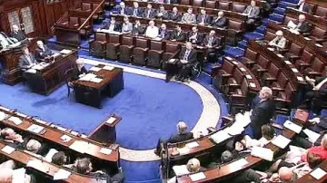 Irský parlament