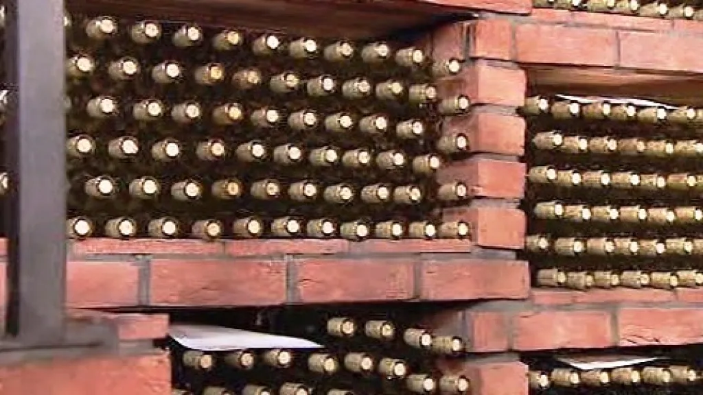 Sbírka vín