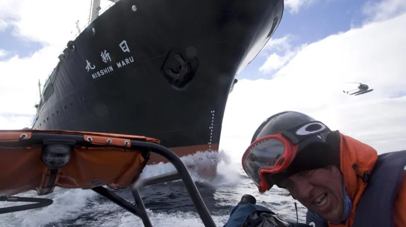 Boj proti japonským lovcům velryb