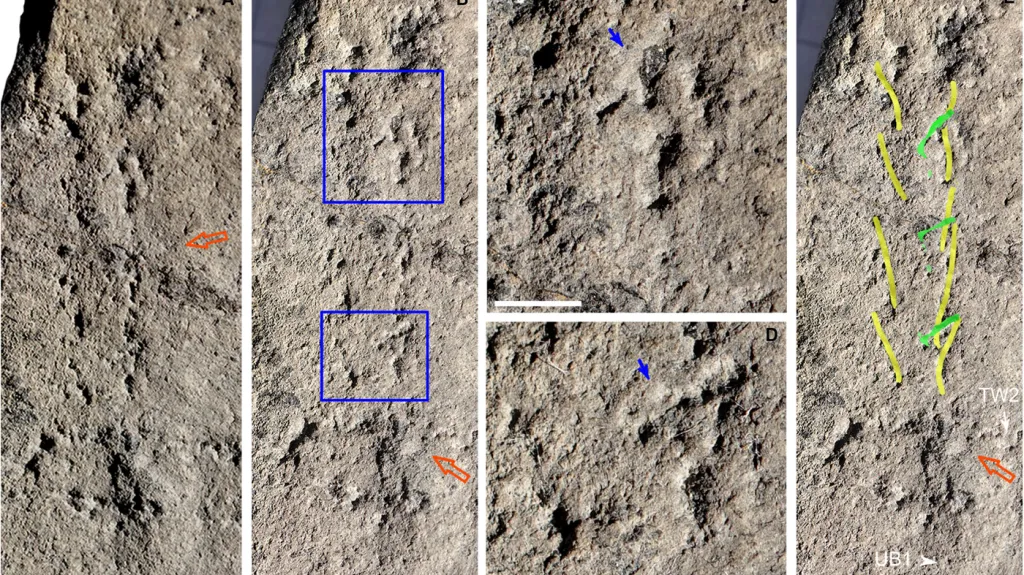 První stopy na Zemi