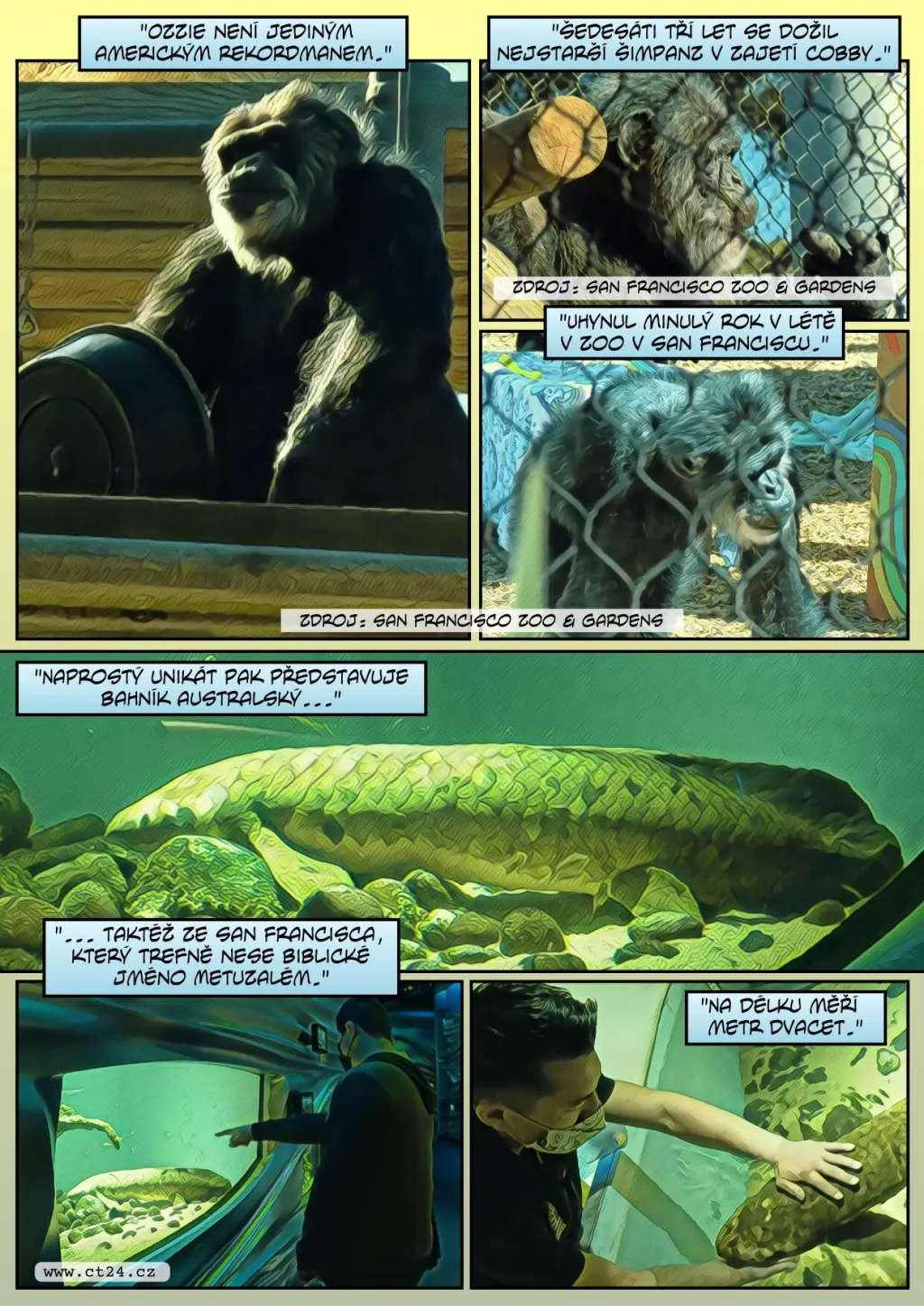 Zvířata v zoo žijí déle