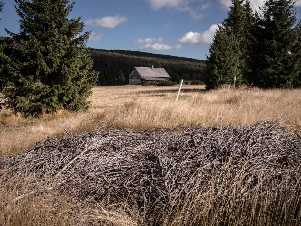 Na loukách najdeme z chráněných rostlin především erbovní rostlinu CHKO Jizerské hory upolín nejvyšší, dále kropenáč vytrvalý, vratičku heřmánkolistou, oměj šalamounek, orchidej pětiprstku žežulník nebo kriticky ohrožený hořeček ladní pobaltský (ten roste v Jizerkách pouze zde), v lesích pak lýkovec jedovatý nebo měsíčnici vytrvalou