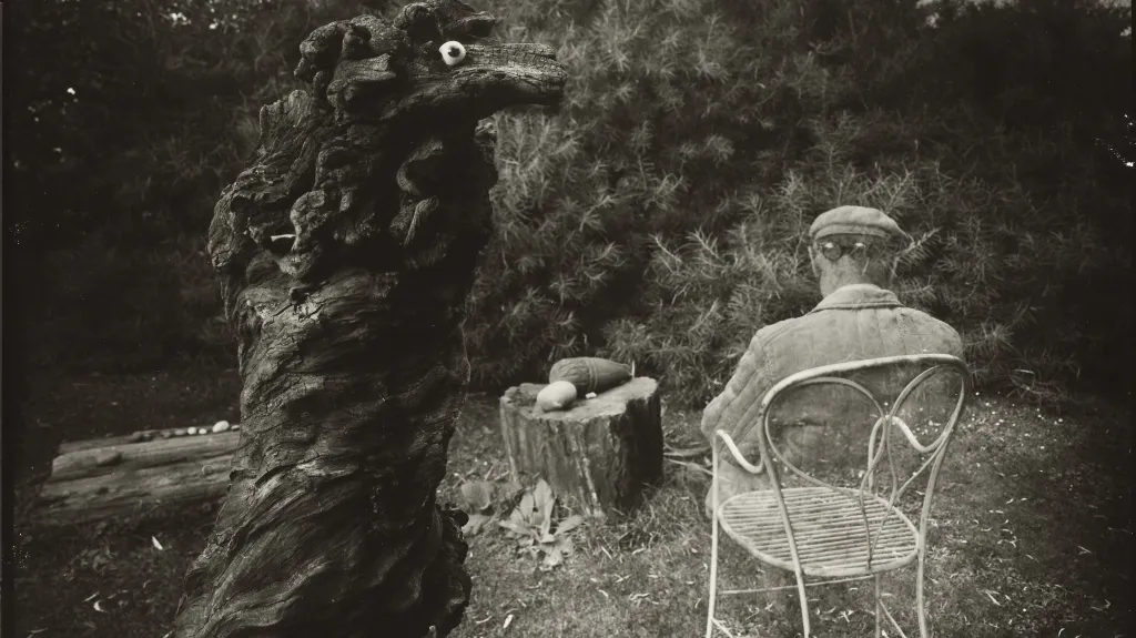 Josef Sudek / Vzpomínky snů (jindy Vzpomínka na pana kouzelníka nebo Procházka po kouzelné zahradě – Rothmayerova zahrada), 1959