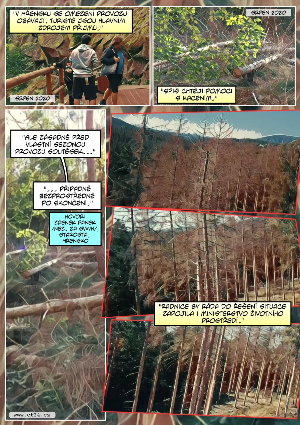 Kůrovec v Českém Švýcarsku