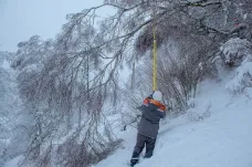 Energetici nezvládají kvůli sněžení opravovat popadané vedení, na severu Čech vyhlásili kalamitní stav
