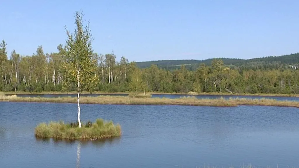 Šumava