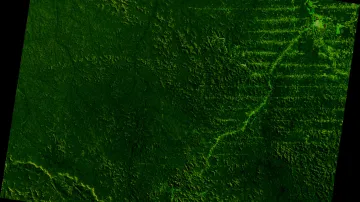 Deforestace ve státě Rondonie v letech 1975–2001