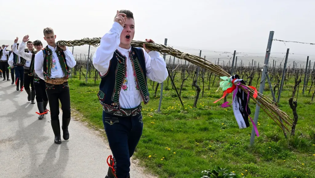 Krojovaní šohaji z Němčiček na Břeclavsku