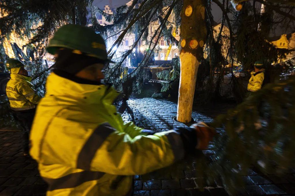 Na pražském Staroměstském náměstí ukotvili vánoční strom