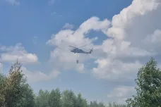 Hasiči zasahují u požáru lesa na Olomoucku