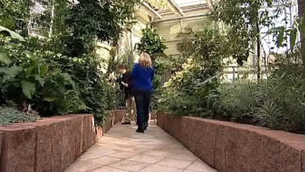 Arboretum v Novém Dvoře