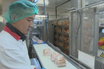 V Česku přibývá zahraničních pracovníků, zjistili statistici. Za poslední desetiletí se jejich podíl ztrojnásobil