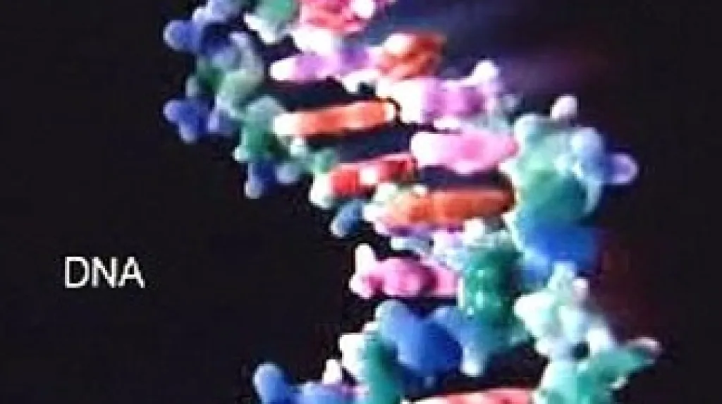 DNA