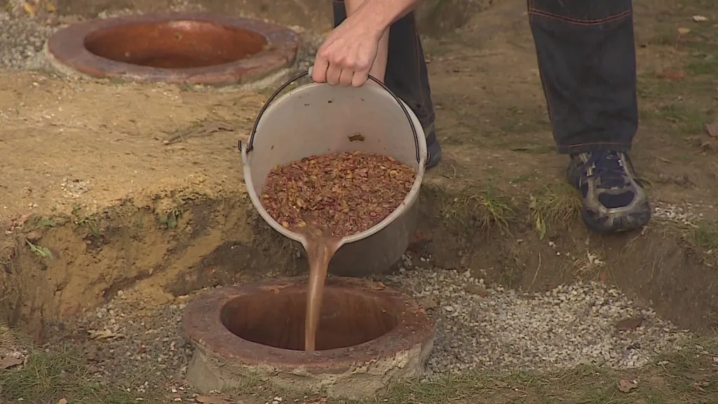 Půl roku bude vinný rmut kvasit v nádobách v zemi
