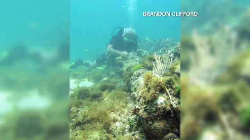 Je pod korály a řasami Kolumbova Santa Maria?