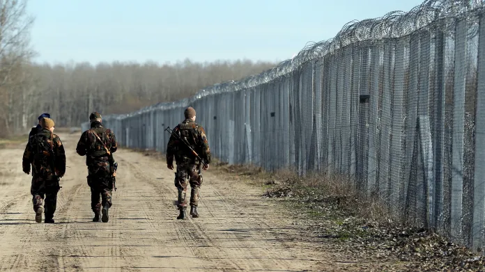 Plot na srbsko-maďarské hranici