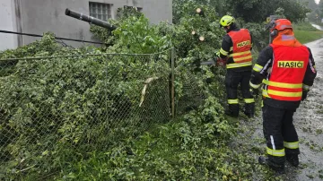 Zásah libereckých hasičů u popadaného stromu
