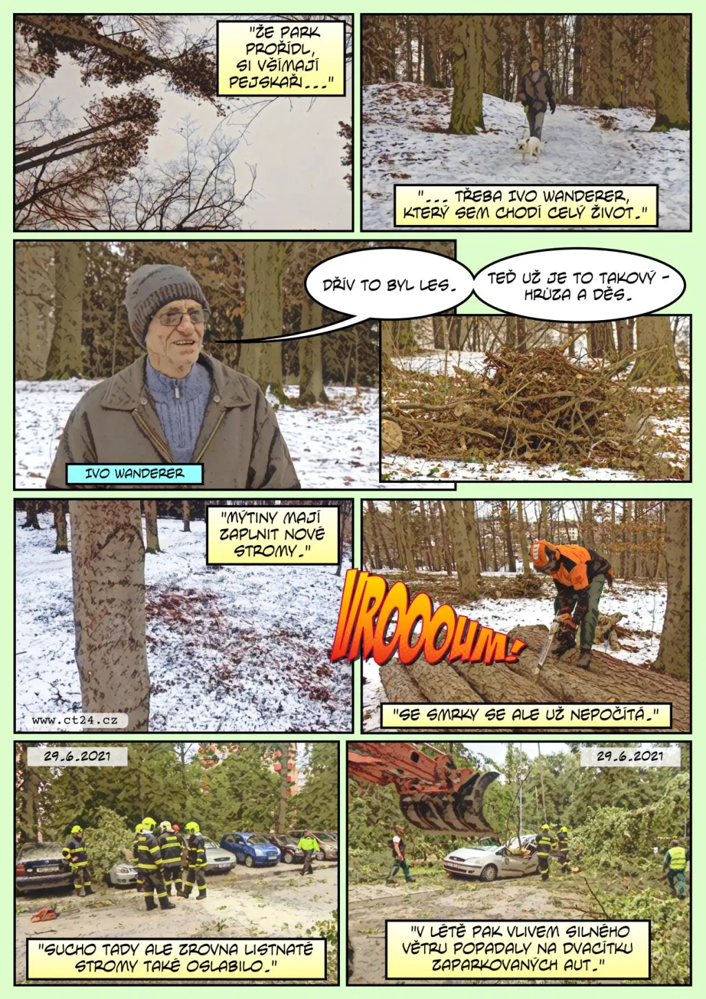 Pokácením lesa k jeho záchraně. Díky obrážení pařezů by měl být nový porost odolnější