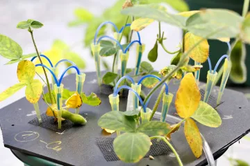 Kvůli kovům v rostlinách se spojí vědci z 30 zemí, vede je česká laboratoř