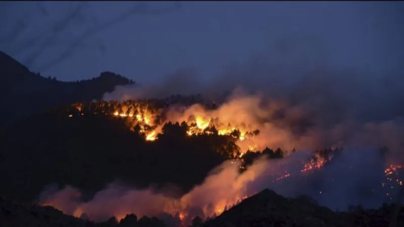 Reportáž Adriany Dergam