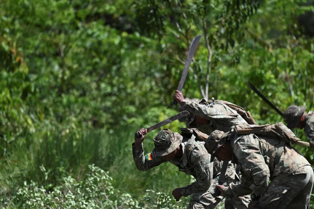 Bolivijští vojáci ničí rostliny koky