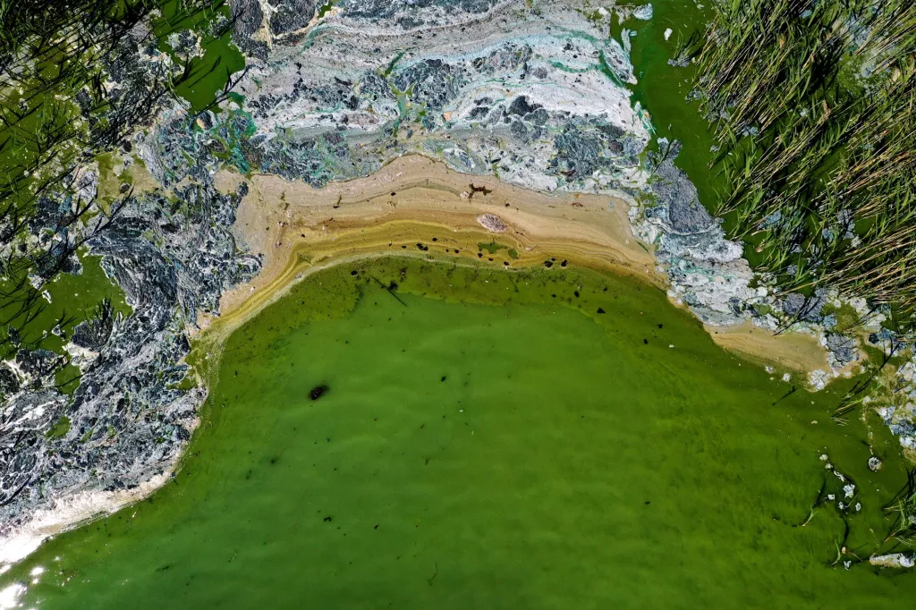 Letecký pohled na pobřeží Baltského moře v Tyresu poblíž Stockholmu. Na pobřeží se tvoří laguny řas (sinic), které mají spojitost se stoupající teplotou moře. Není ale jasné, jestli jde o běžný opakující se jev, nebo sinice mají souvislost se změnou klimatu