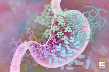 Hledají se super-dárci stolice. Při transplantaci jsou až dvakrát úspěšnější