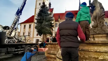 Instalace vánočního stromu na olomouckém Horním náměstí