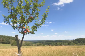 Unijní nařízení má podpořit pestřejší pole a lesy