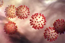 Jak pojmenovat wuchanský koronavirus? WHO i vědci tápou, jak nové nemoci říkat