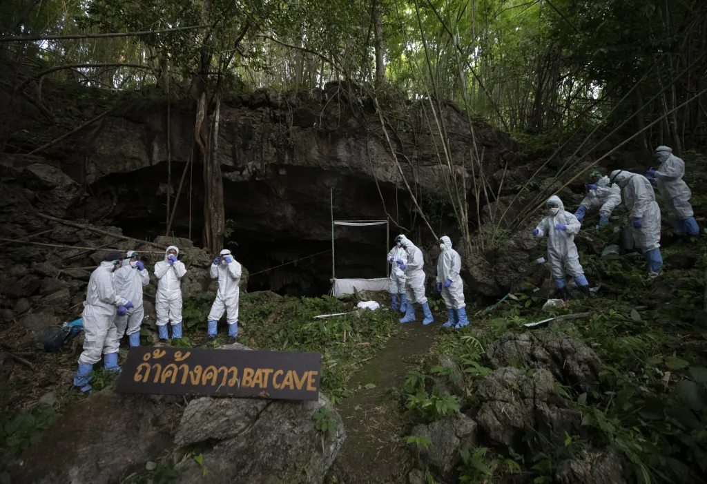 Thajští vědci zkoumají původ virů u netopýrů. Pro odchyt létajících savců si vybrali Netopýří jeskyni v národním parku Sai Yok západně od Bangkoku
