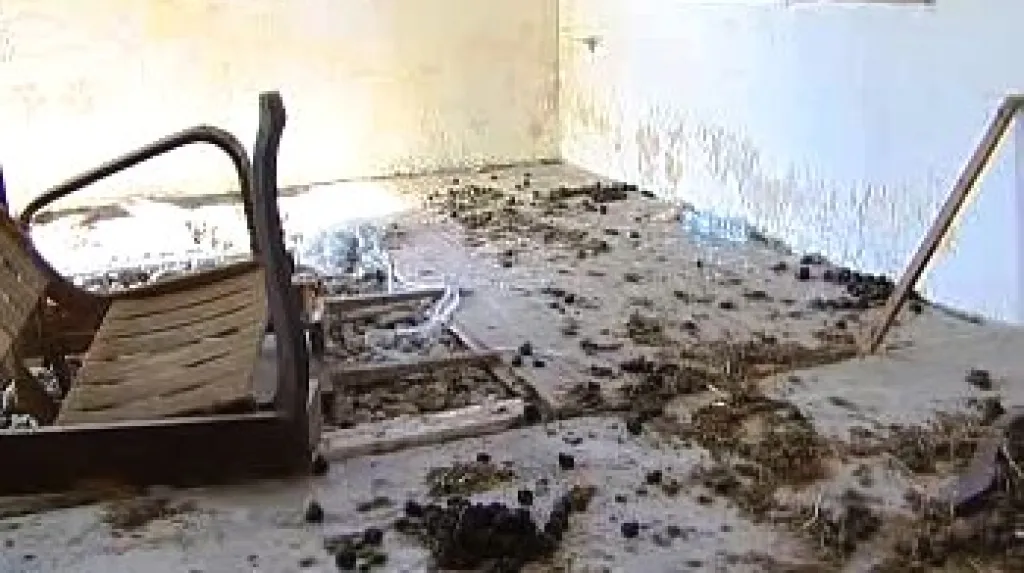 Polorozpadlý statek vJavorníku