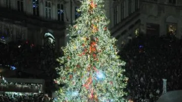 Vánoční strom na Staroměstském náměstí