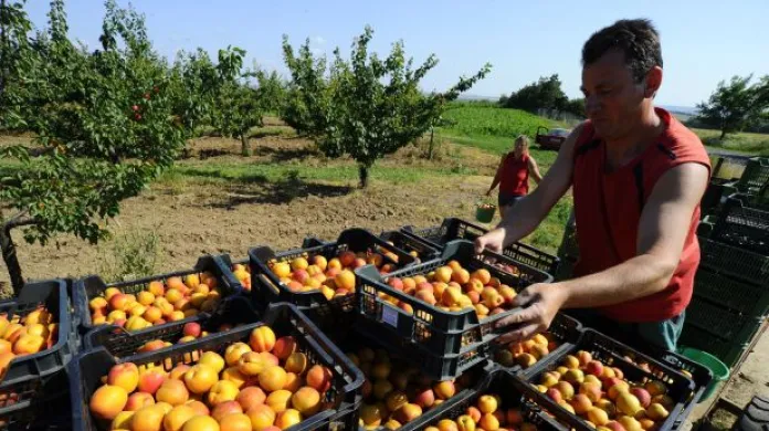Pýcha: Rusko nemůže jen tak zastavit import potravin z EU