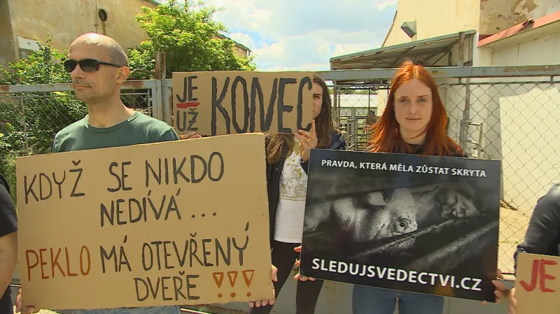 Protest aktivistů u jatek