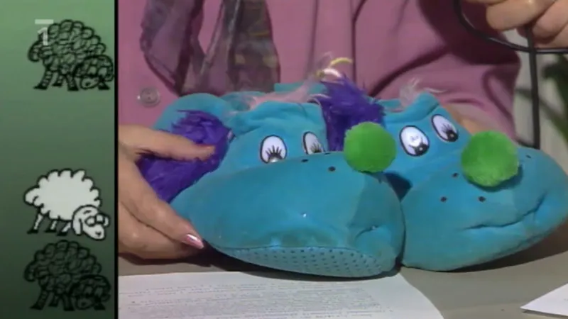 První testované spotřební zboží - bačkory „televizorky“