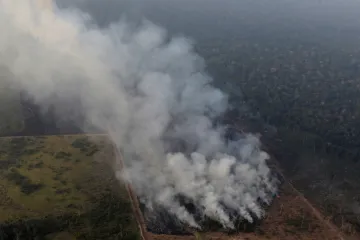 Ničení amazonského pralesa v Brazílii na začátku roku zrychlilo 