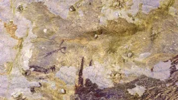Nejstarší jeskynní malba